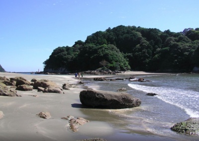 shikoku beach.png